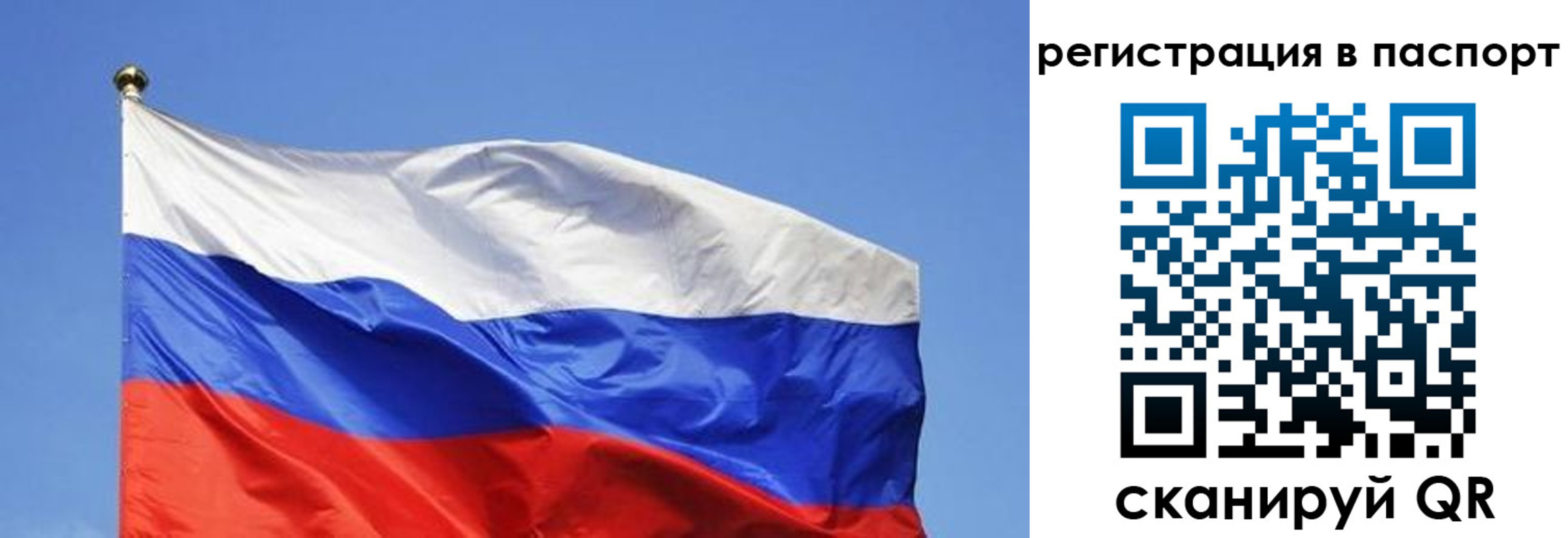 прописка в квартире в Вязниках